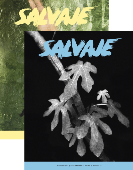 13_14 Salvaje nº 14 + 13