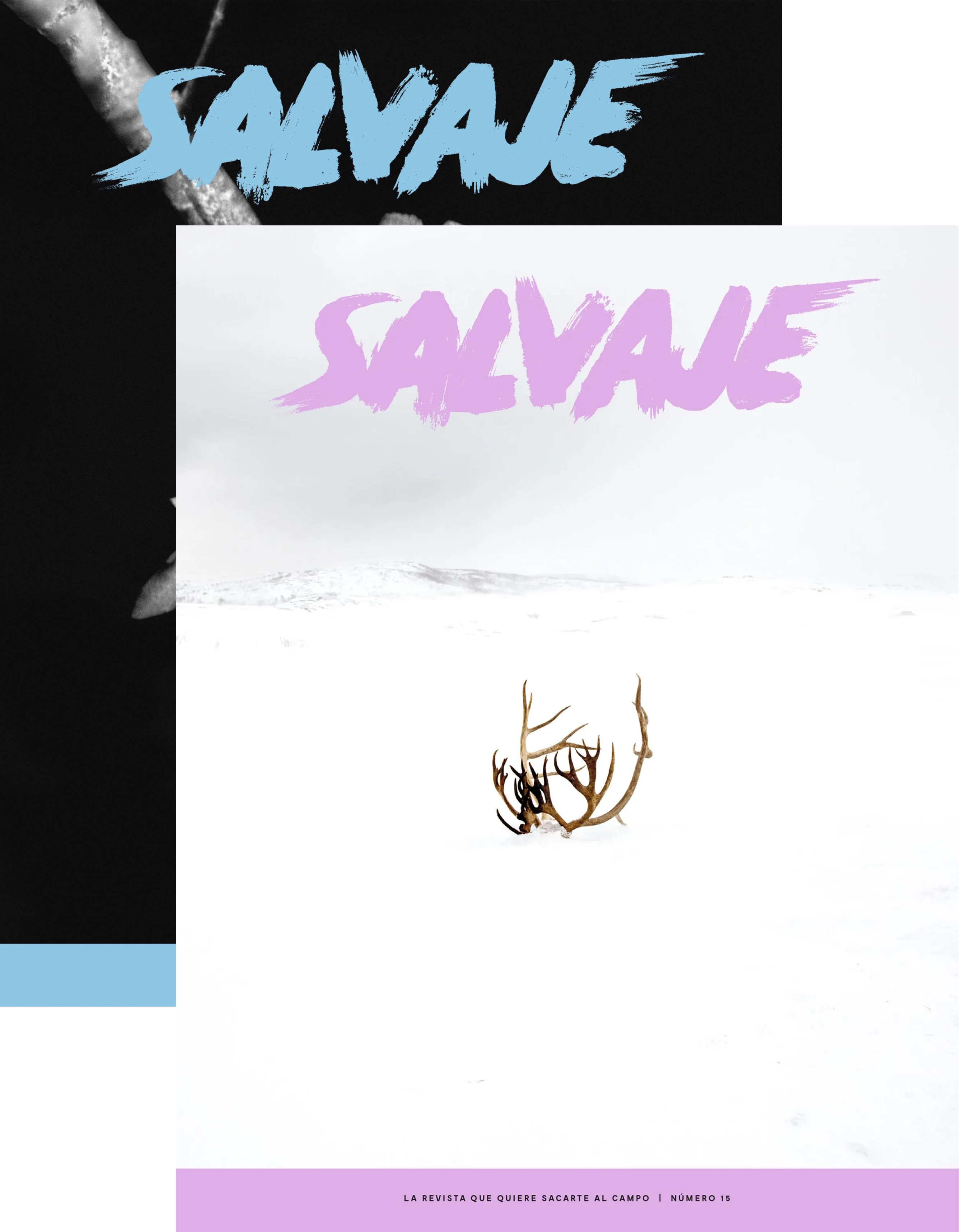 Salvaje nº 14 + Salvaje nº 15