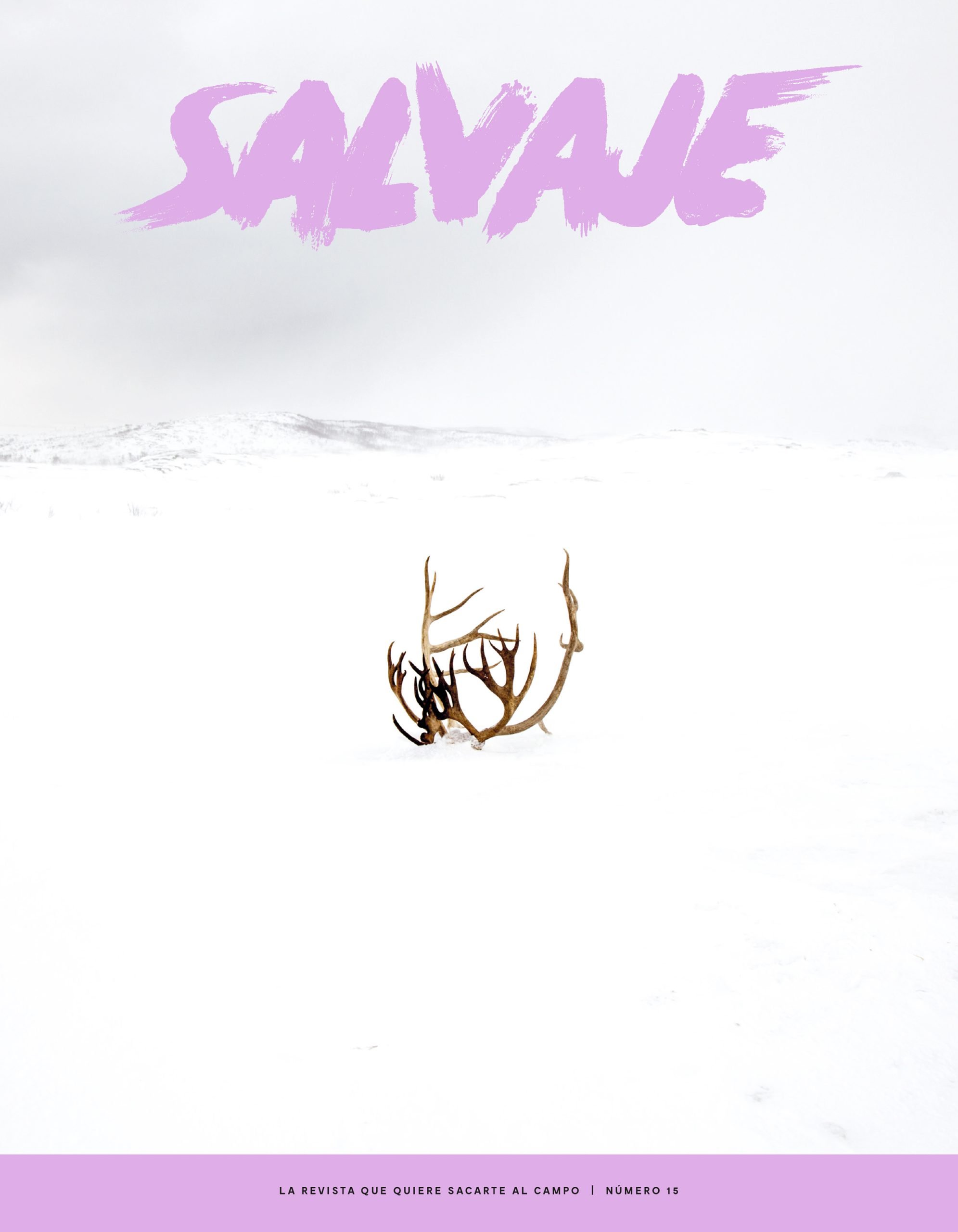 Salvaje nº 15