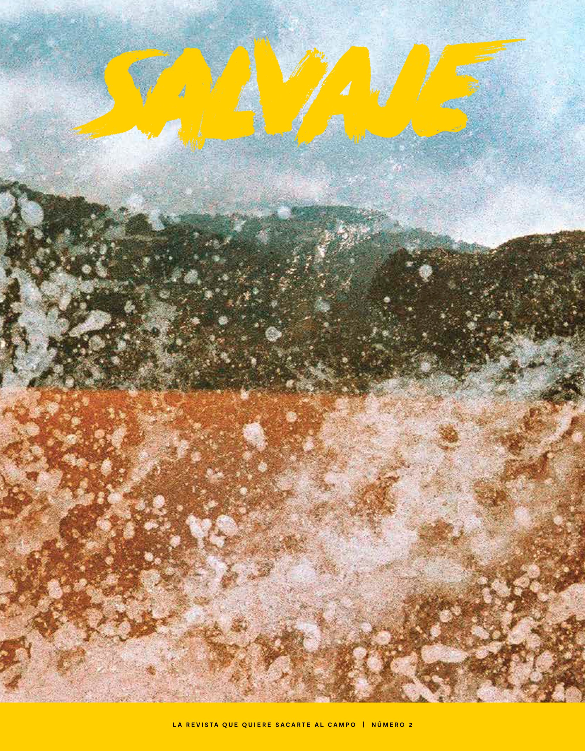 Salvaje nº 2