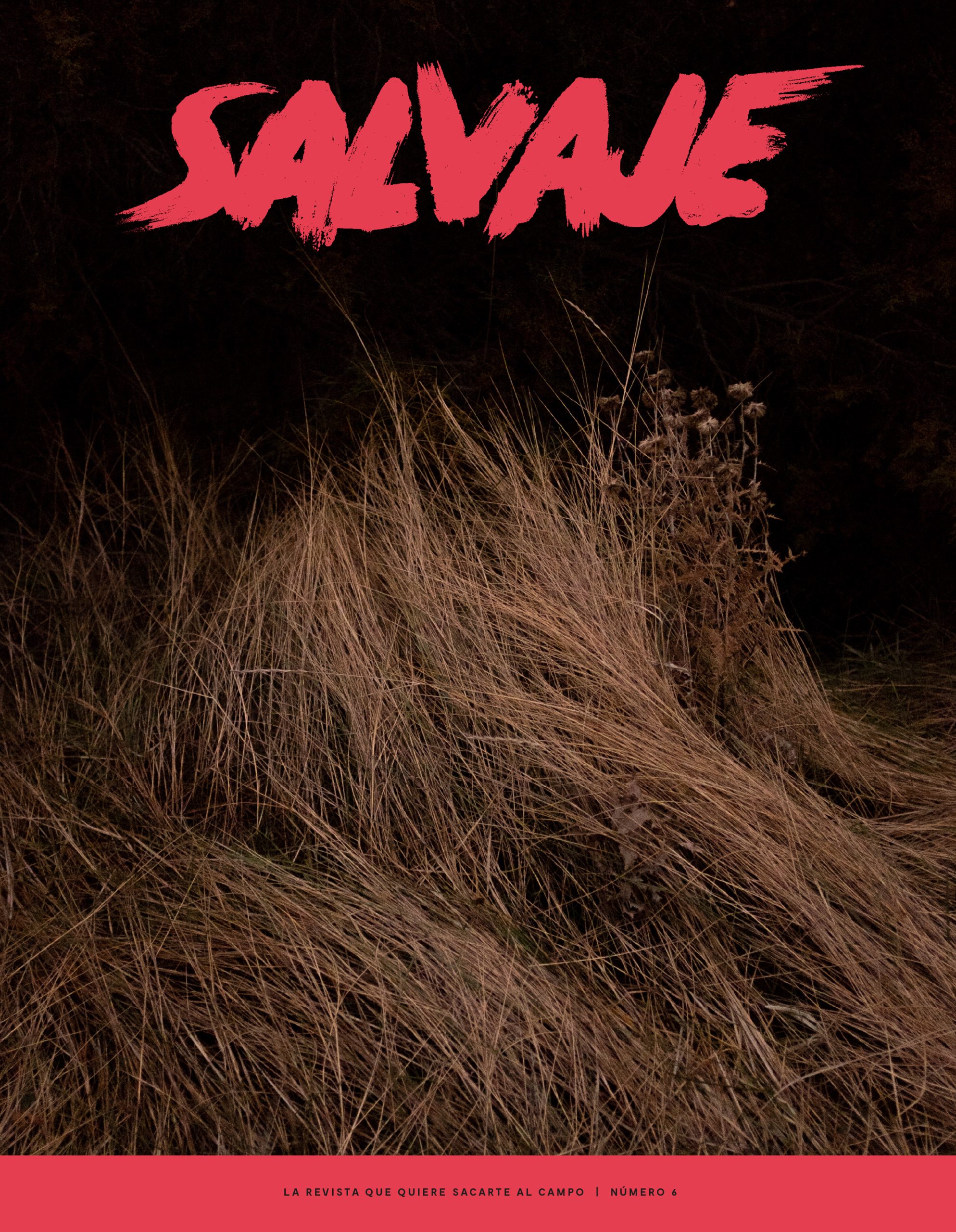 Salvaje nº 6