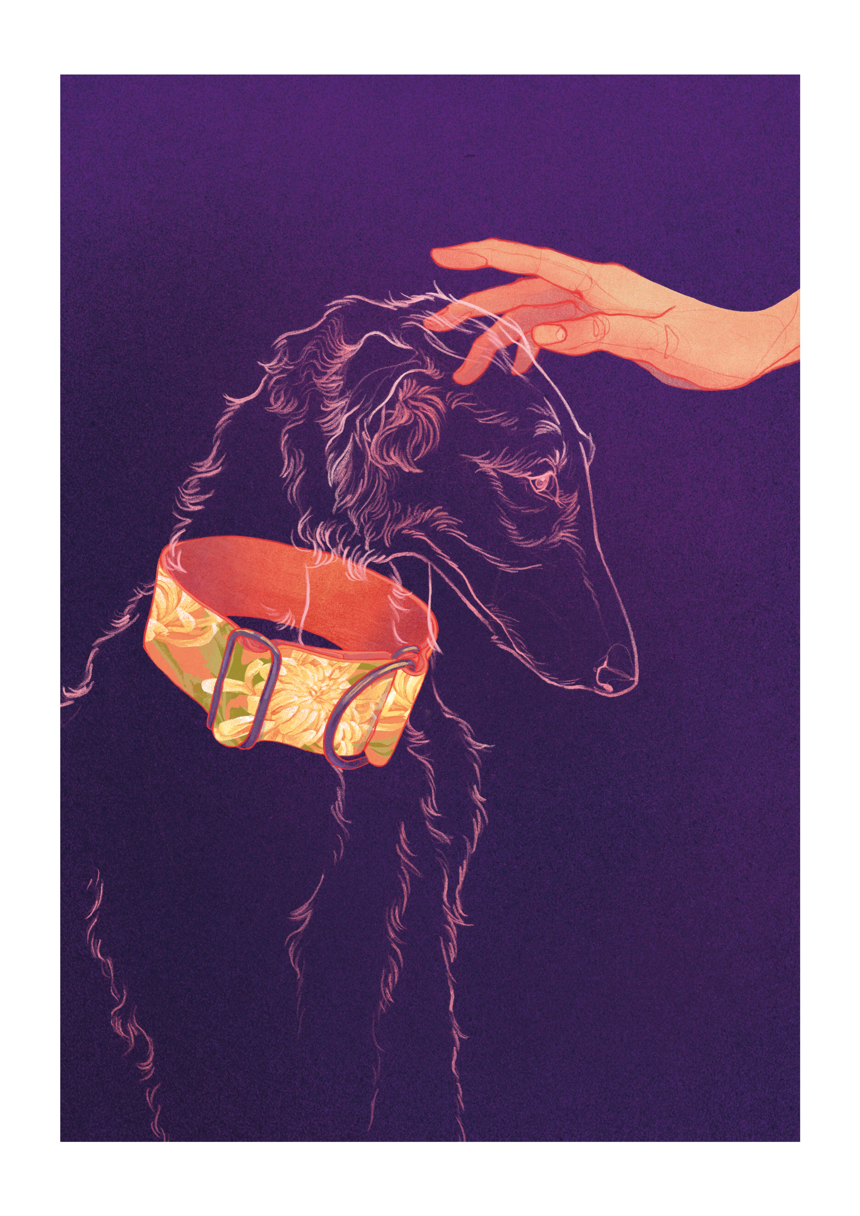 Galgo - Lámina de Adara Sánchez