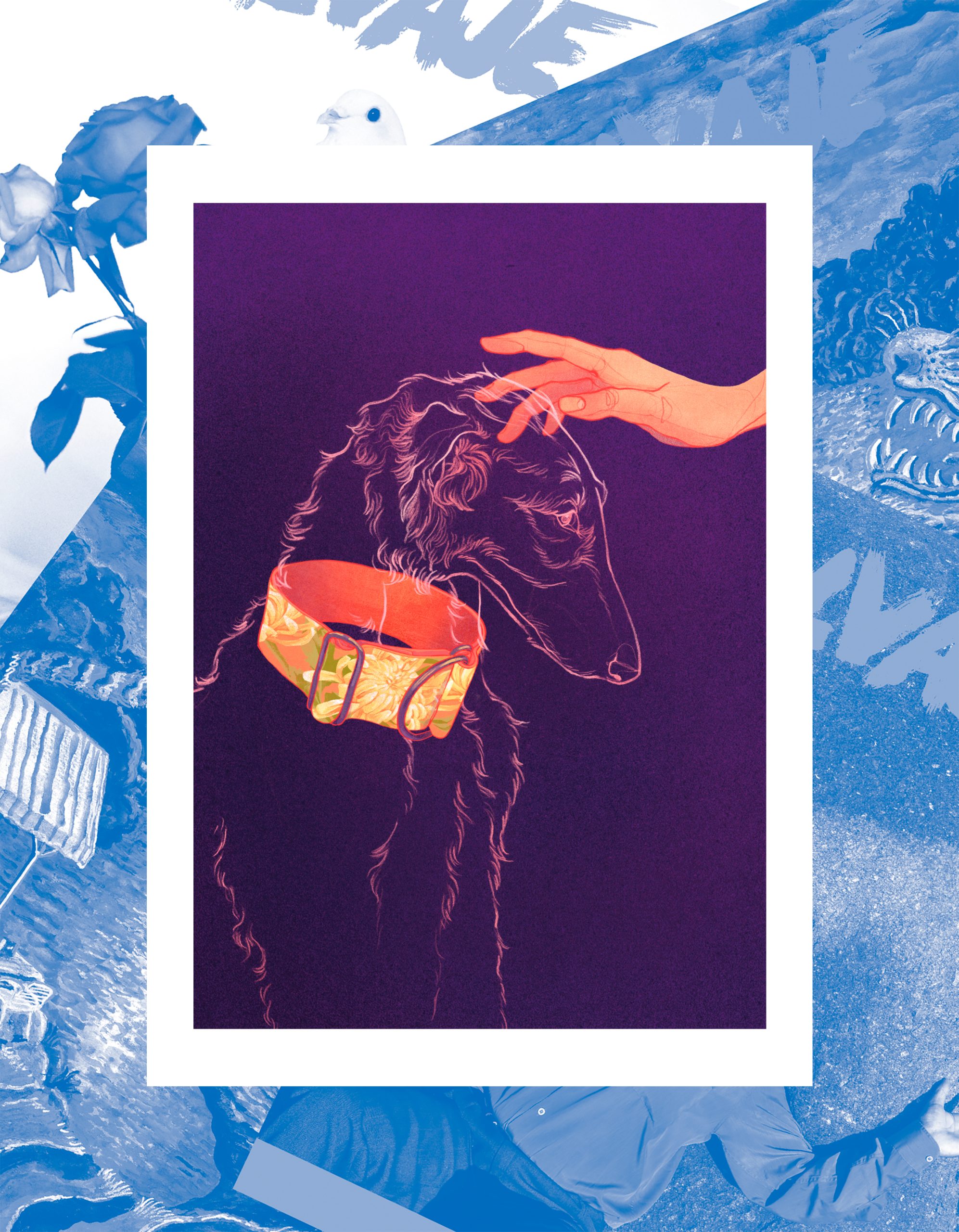 Suscripción anual + Lámina "Galgo"